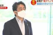 日本「税金沢山取るで」国民「コロナ助けて！」日本「おけー！マスク2枚と10万円だけ配布するわ！」