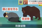 【クマに襲われた時】とにかく低姿勢で我慢　首と顔を守ること