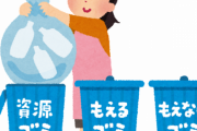 ゴミの分別ってどの程度してる？