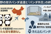 【速報】東京都、新たなパンダの賃与希望せず  「新たな来日はないと思う。みんな冷めてる。パンダより国益」