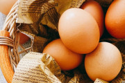 卵料理で一番うまいのってなに？