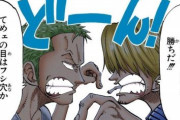 【悲報】ゾロとサンジとかいう二年前まで互角だったのに超絶差がついたコンビｗｗｗ