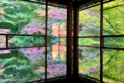 海外「とても綺麗で安らぎを与えてくれますね…」京都、瑠璃光院の紅葉の映り込みが美しい（海外の反応）