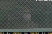 【動画】巨人･中田翔、第6号2ランホームラン！3点差に迫る！