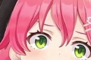 【Vtuber】VTuberってほとんどおばさんじゃん