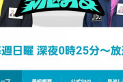 【朗報】AKB48岩立沙穂さん、地上波バラエティー番組への出演が決定！！