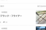 【悲報】松居一代さん、買った椅子がドアよりデカくて家に入らず怒りの連続投稿