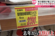 米5kgで3,000円もして草