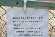 【画像】子育てママ「近所の公園に行ったらこんな張り紙がしてあった。公園って一体なんなんだろう？」←WWWWWWWWWWWWWWWWWWWWWW