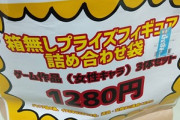 【悲報】女性キャラフィギュアの福袋買ったんだけど誰だかわからない