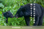 熊擁護団体「助けて！私達への誹謗中傷が止まらないの！正しい事言ってるのにどうして！」
