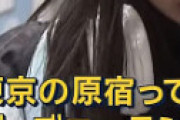 【動画】 街頭インタビューの美少女、新幹線が止まり原宿ってところとディズニーランドに行けなくなり大泣き・・ 視聴者も涙