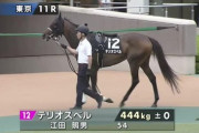 テリオスベルとか言う終始追い通しの馬