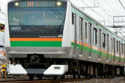 【インバウンド】日本の電車　トコジラミで終わる