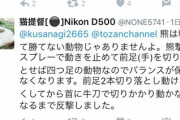 【疑問】撮り鉄「クマの前足を『牛刀』で斬り落として撃退したｗ」←これガチでできると思う？
