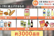 【悲報】 食品値上げ、105社1万品目突破