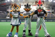 日ハムのマスコットの名前2匹以上言えるなんJ民0人説
