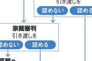 「子どもを引き渡して」父の申し立て、母を上回る　10年で7割増
