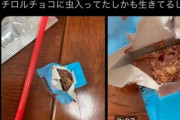 撮り鉄「チロルチョコに虫入ってた！」メーカー「一年前に販売したやつでは？」撮り鉄ママ「申し訳ございませんでした」