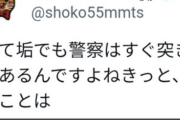 【悲報】しょこたん「『覚悟』があるんですよね？誹謗中傷するってことは・・・・・」