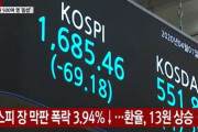 韓国人「個人投資家の皆さん、謹んでお悔やみ申し上げます」ウオン安ドル高‥コスピが終盤に暴落‥ウオン・ドルも1230.5ウォンで引ける　韓国の反応