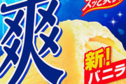 ラクトアイスってバカにされるけどぶっちゃけ旨いよな