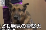 行方不明の男児を探すのに貢献した警察犬へのご褒美動画　かわいい