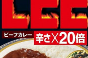 【朗報】一番美味いレトルトカレー、決定してしまう