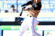 日ハムのチーム内本塁打数トップ5ｗｗｗｗｗｗｗｗ