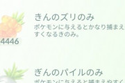 【ポケモンGO】ここ最近のレイドイベント祭り（補填含む）で副産物のアイテム報酬でボックスがパンパン！！