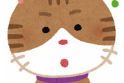 【画像あり】猫！それちがう！