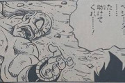 【ドラゴンボール】ベジータってなんでナッパ殺したの？？？？？？？？？？？？？