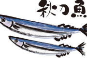 【悲報】さんま1匹4000円 ＆ 秋刀魚売ってたしそろそろ秋か？