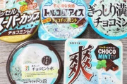 【悲報】アイスのチョコミント味の食うやつってなんなん？