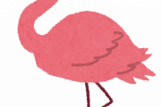 【画像】フラミンゴさん、サボる…