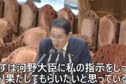 【マイナ】河野大臣「私に対する処分はやらなければならない」⇒ 岸田総理、更迭を否定！