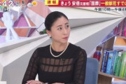 【画像】　三浦瑠麗さん、胸元シースルーの喪服で炎上してしまう・・・