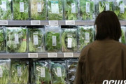 韓国で高騰する野菜…生姜、にんじん、玉ねぎ「金の値段」4/10