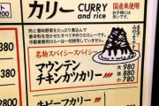 【画像】うわぁー、こんな細長いチキンカツのカリー、見たことあるか？