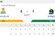 【試合結果】ヤクルト1-5ソフトバンク　先発吉村4回3失点  星大西木澤無失点