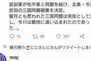 舞元立志伝、後世の歴史家はコイツをどう評価するんやろな『兄上家老で草』