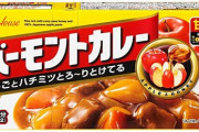 ぼく(5)かんとく、カレーをバーモントあまくちにとういつ