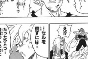 ドラゴンボールで悟空がセル戦の時に敗北を認めて悟飯に戦わせたけどこれって舐めプだよな？ｗｗｗ