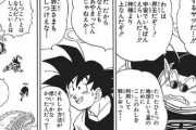 【ドラゴンボール】界王「わしまで道連れにするとは信じられん奴だ…！」悟空「わりぃ…バブルスもごめんな」