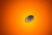 【衝撃】「男性の不妊」1990年以降から激増…少子化の原因は生殖能力の低下か