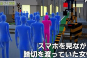 【爆笑】バカ女、踏切内を外と勘違いして立ち止まってしまう　当然電車からは猛烈なツッコミ
