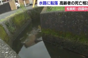【四国】「田んぼに行く」高齢者の水路転落死相次ぐ