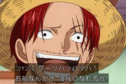 【朗報】ワンピース強さランキング、決まってしまうｗｗｗ