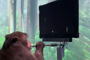 脳にチップを埋めたサルがゲーム「Pong」をプレイする動画を公開！