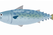 生涯で一種類の魚しか食えないと言われたら間違いなくサバを選ぶよね？